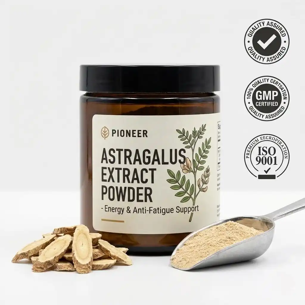 The Role of Astragalus Extract in Anti-Fatigue and Energy Support Supplements